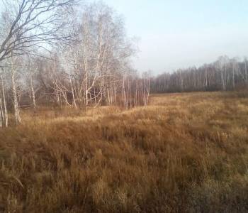 Продается Участок, 24000 м²