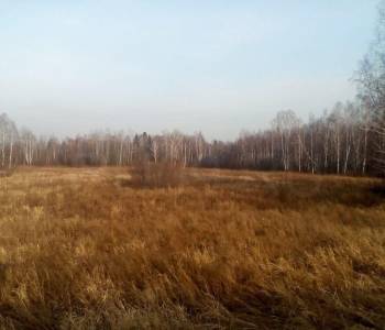 Продается Участок, 24000 м²