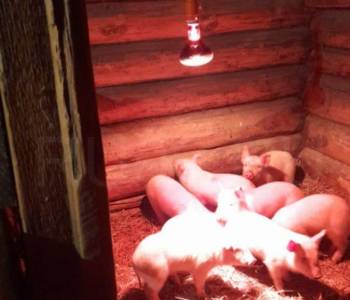 Продается Дом, 46 м²