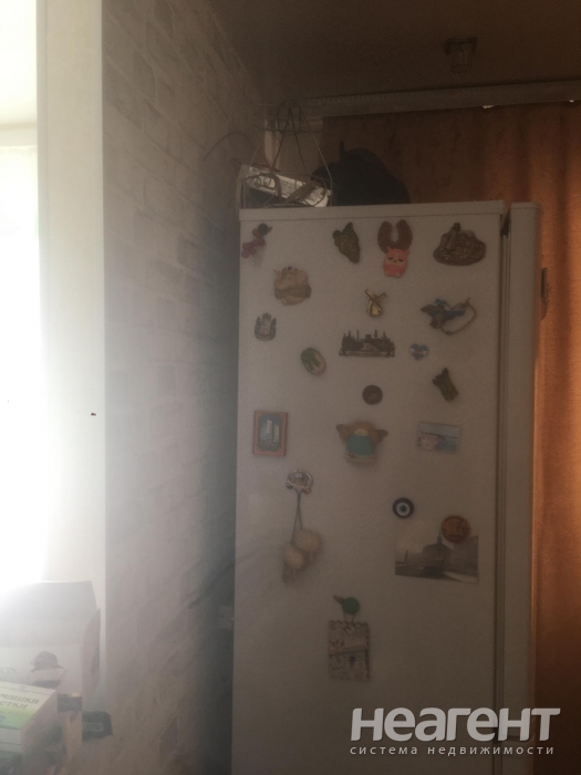 Фотография №3