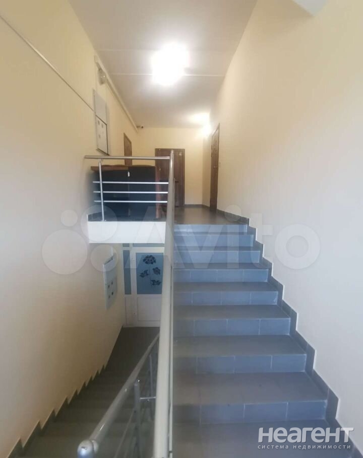 Фотография №4