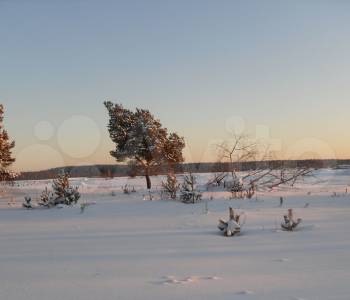 Продается Участок, 1500 м²