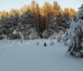 Продается Участок, 1500 м²