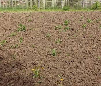 Продается Участок, 600 м²