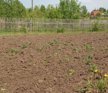 Продается Участок, 600 м²