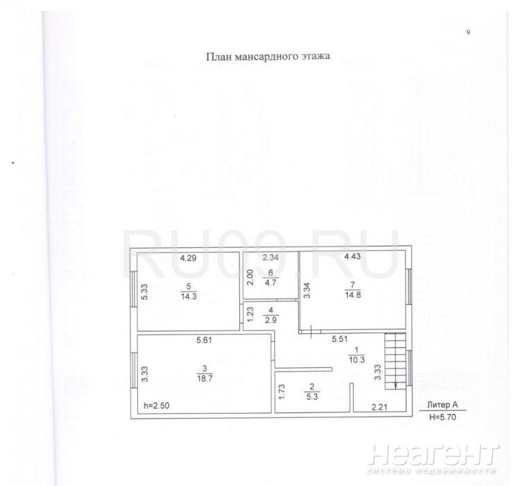 Фотография №4