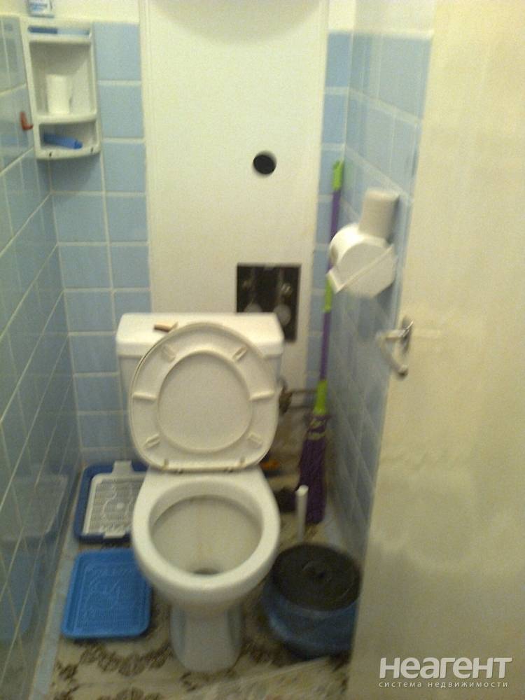 Фотография №7