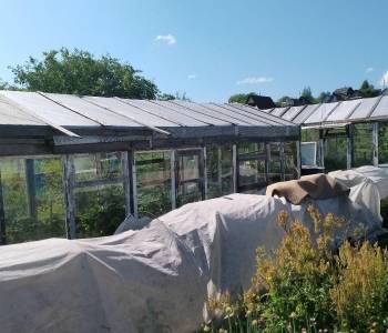 Продается Дом, 20 м²