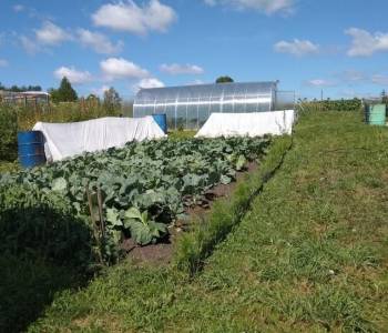 Продается Дом, 39 м²