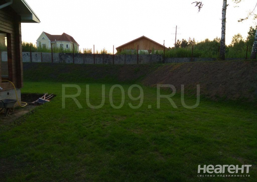 Фотография №2