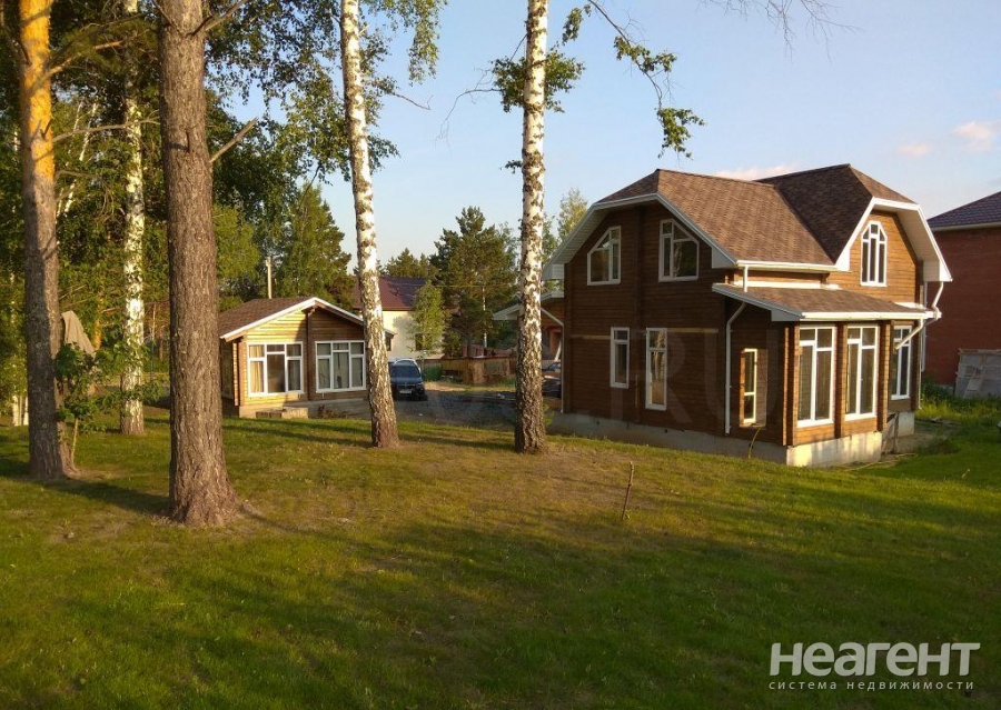 Фотография №4