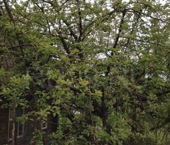 Продается Участок, 600 м²