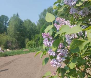 Продается Дом, 16 м²