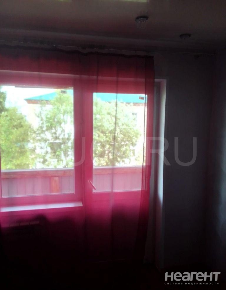 Фотография №2