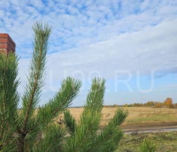 Продается Участок, 900 м²