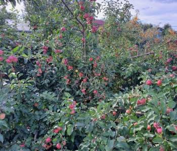 Продается Участок, 500 м²