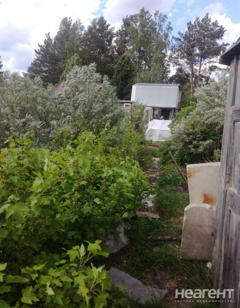 Фотография №2