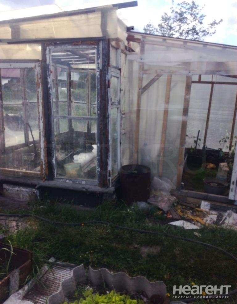 Фотография №4