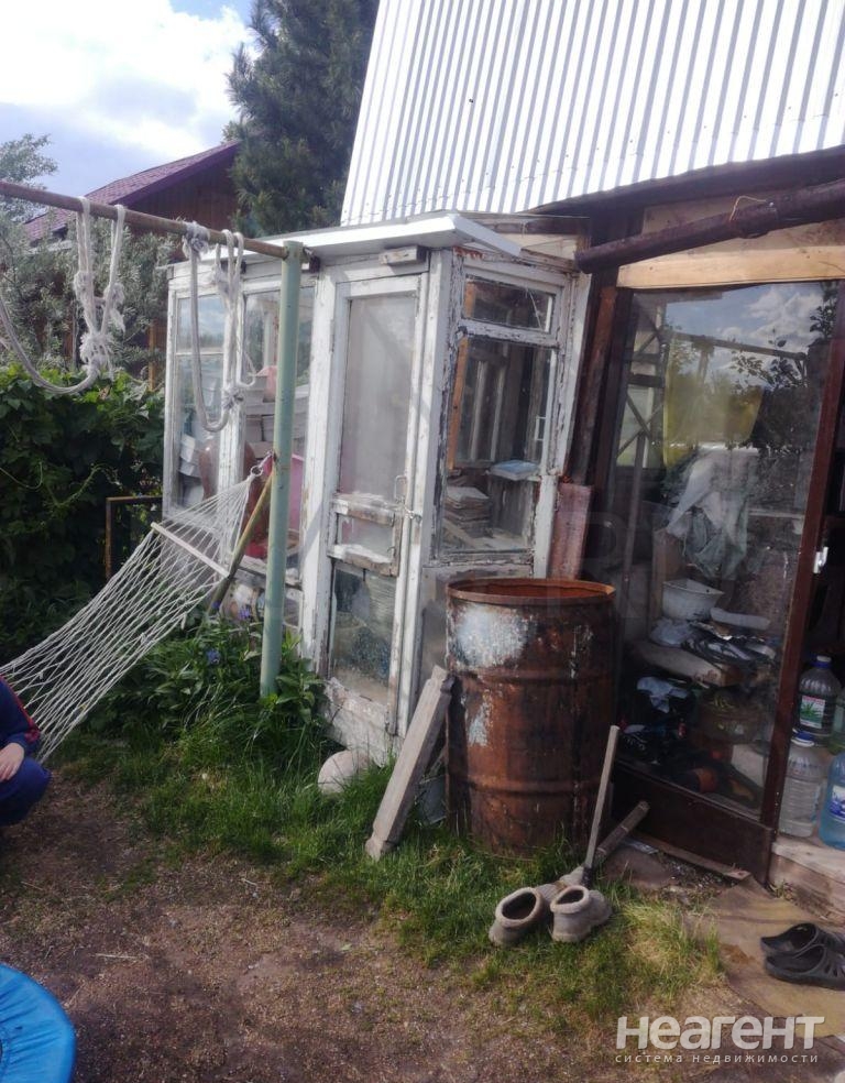 Фотография №6