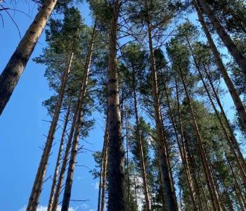 Продается Дом, 100 м²