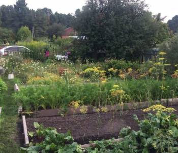 Продается Дом, 16 м²