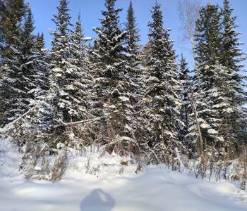 Продается Участок, 1279 м²