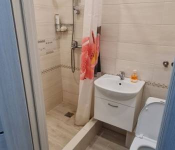 Сдается 1-комнатная квартира, 25,1 м²