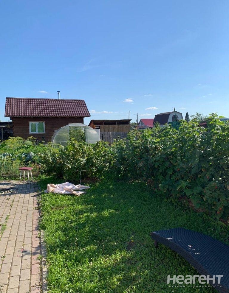 Фотография №4