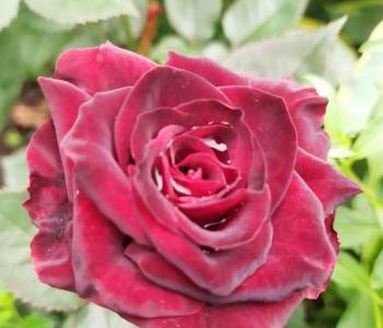 Продается Дом, 40 м²