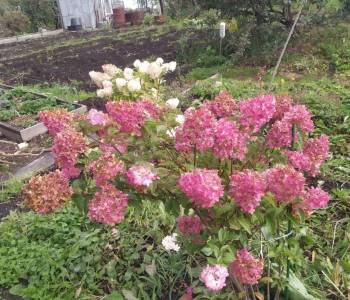 Продается Дом, 40 м²