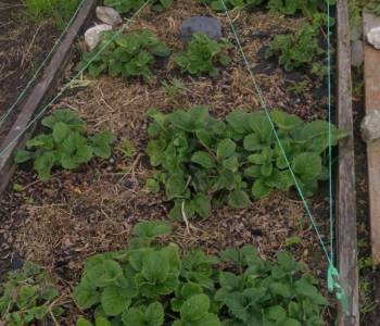 Продается Дом, 40 м²