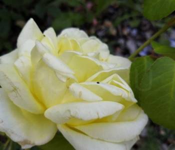 Продается Дом, 165 м²