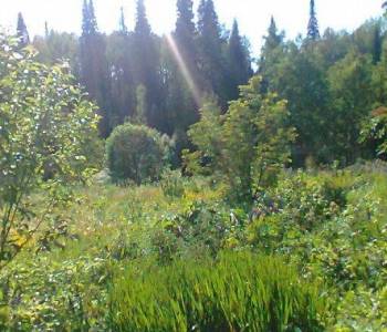 Продается Участок, 1000 м²