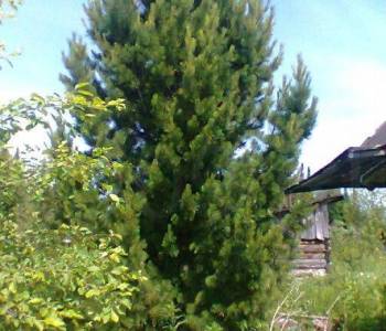 Продается Участок, 1000 м²