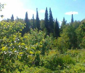 Продается Участок, 1000 м²