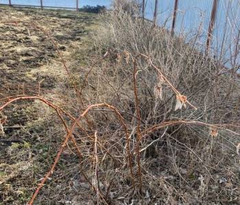 Продается Участок, 400 м²