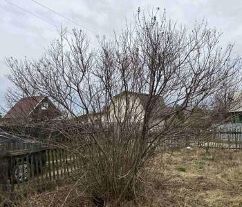 Продается Участок, 600 м²