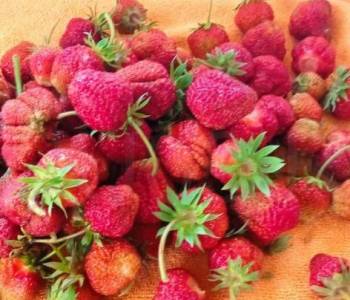 Продается Дом, 60 м²