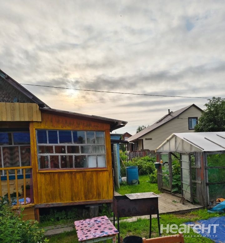 Фотография №4