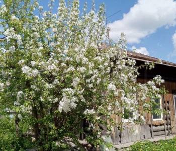 Продается Дом, 36 м²