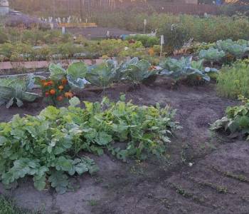 Продается Дом, 16 м²