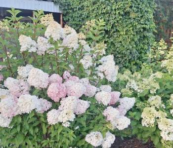 Продается Дом, 16 м²