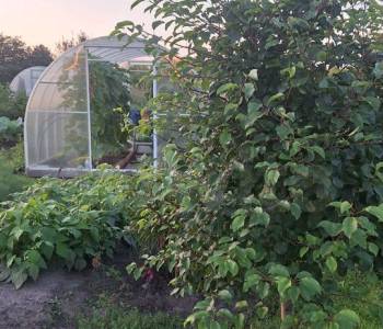 Продается Дом, 16 м²