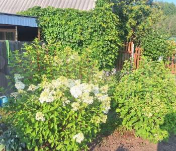 Продается Дом, 16 м²