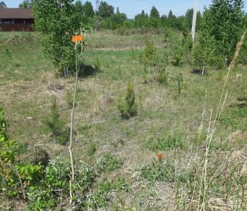 Продается Участок, 1500 м²