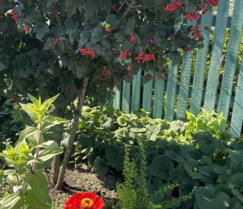 Продается Дом, 90 м²