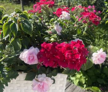 Продается Дом, 90 м²