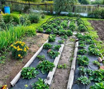 Продается Дом, 48 м²