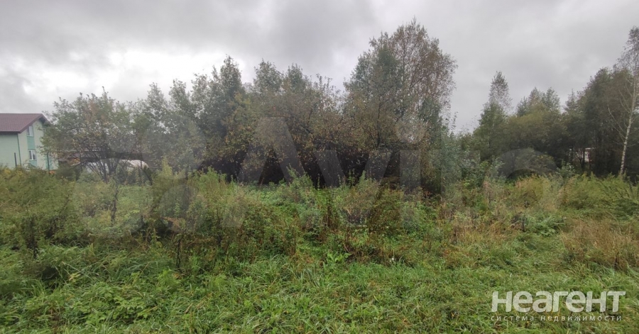 Фотография №2