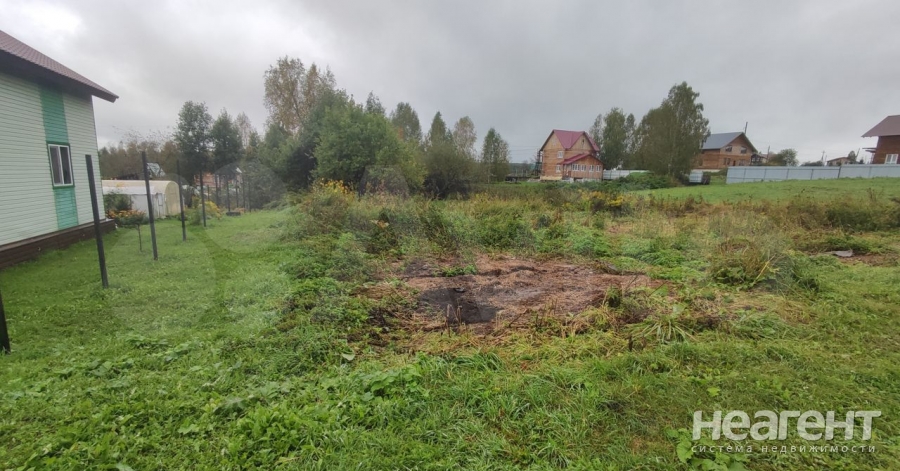 Фотография №3